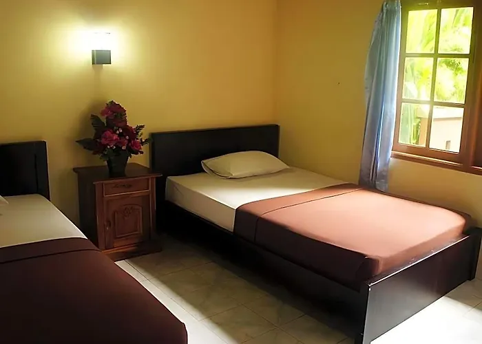 Waringin 3*